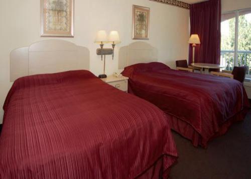 Quality Inn Alachua - Gainesville Area Room photo